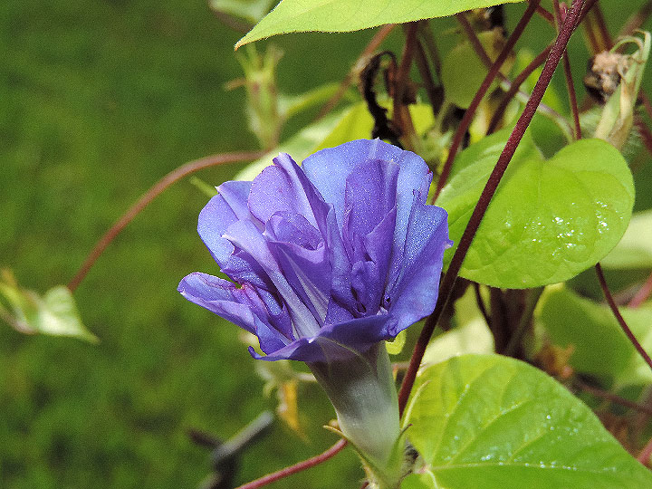 DSCN1505