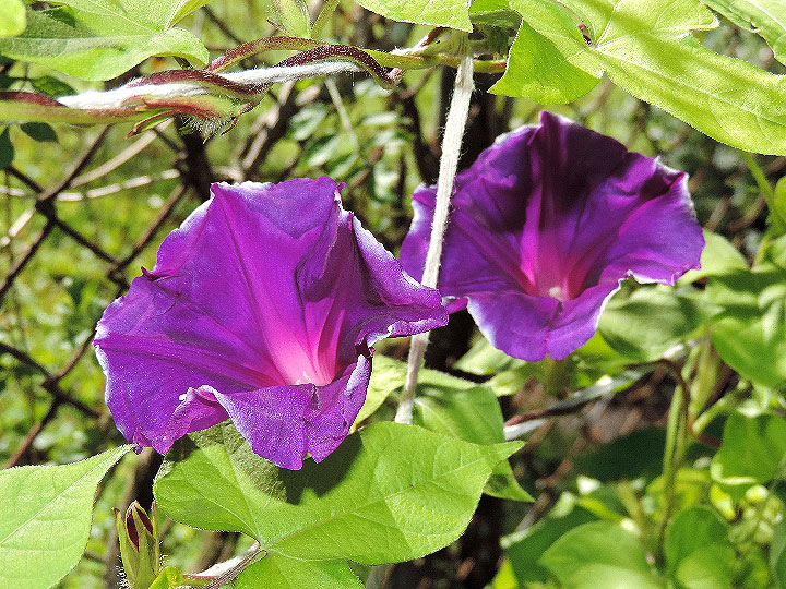 DSCN3826