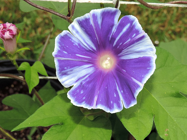 DSCN3972