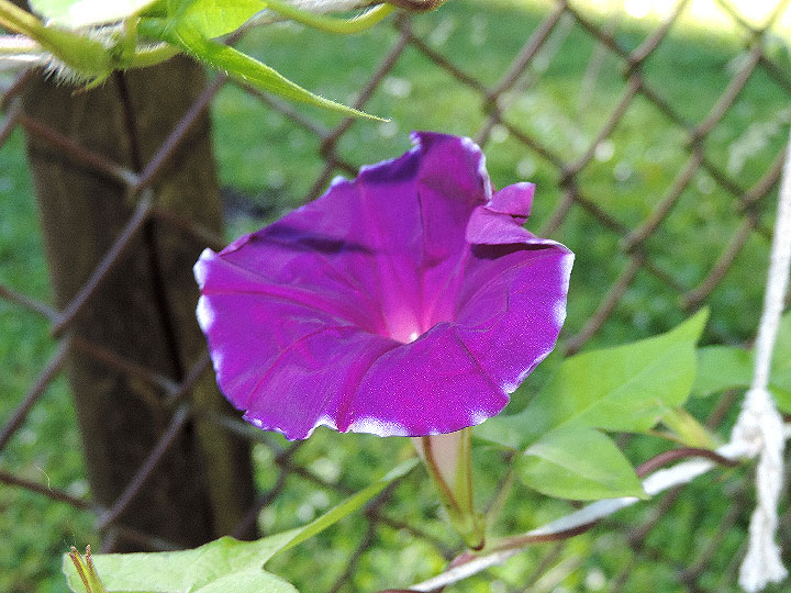DSCN4147