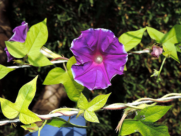 DSCN4319