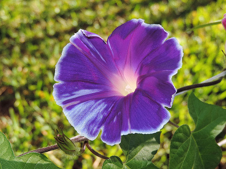 DSCN4533