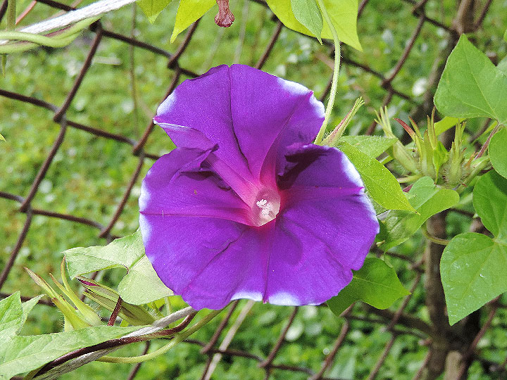 DSCN4870