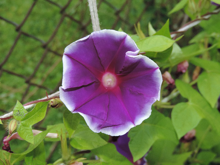 DSCN4993