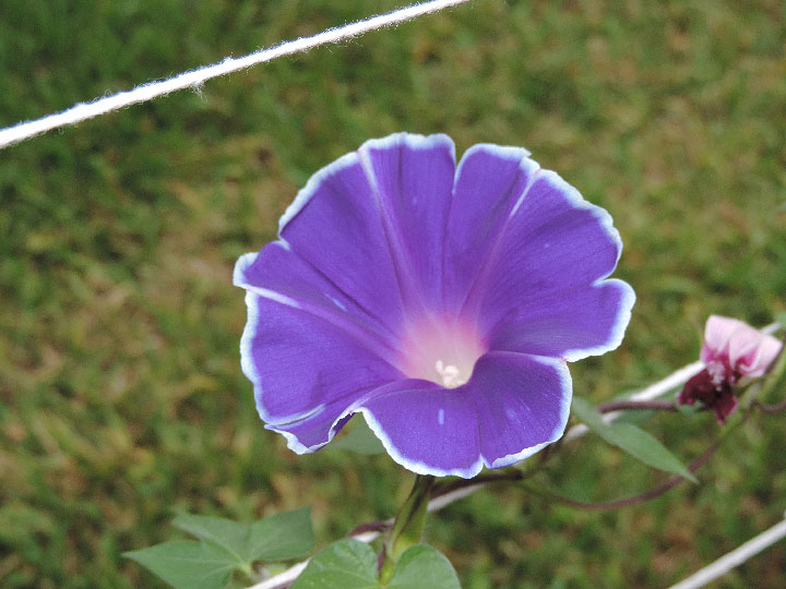 DSCN5000