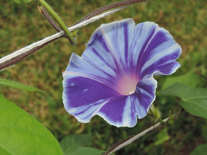 DSCN5001