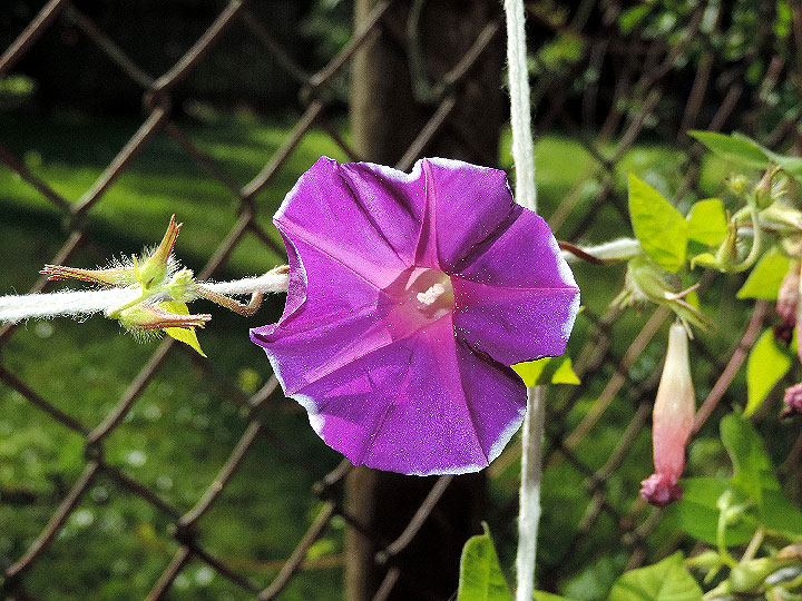 DSCN5140