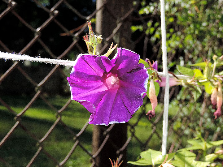 DSCN5466