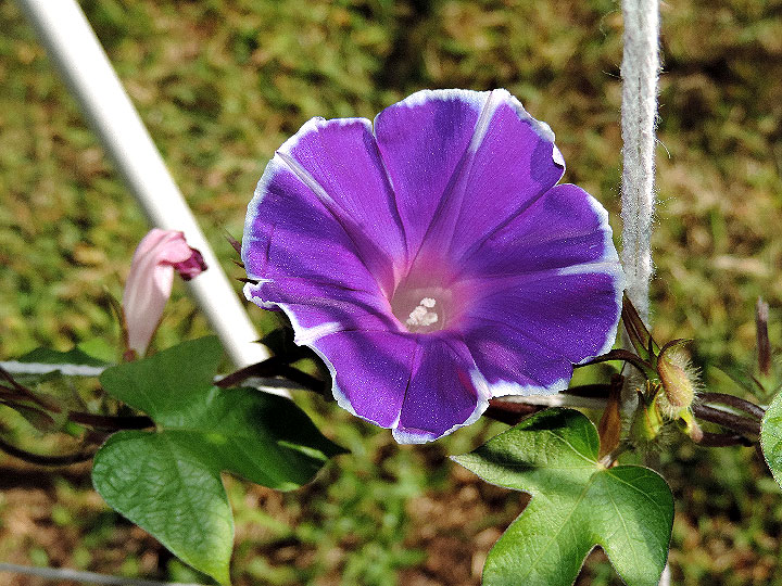 DSCN5476