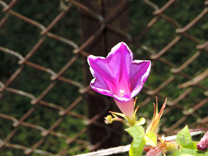 DSCN5584
