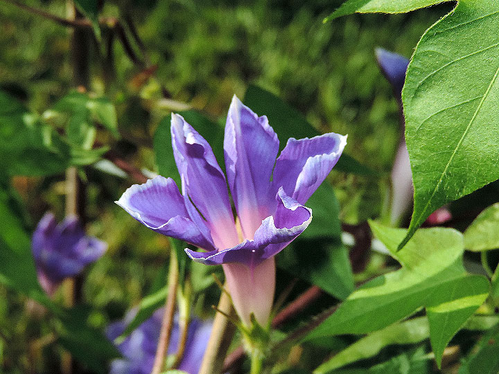 DSCN5690