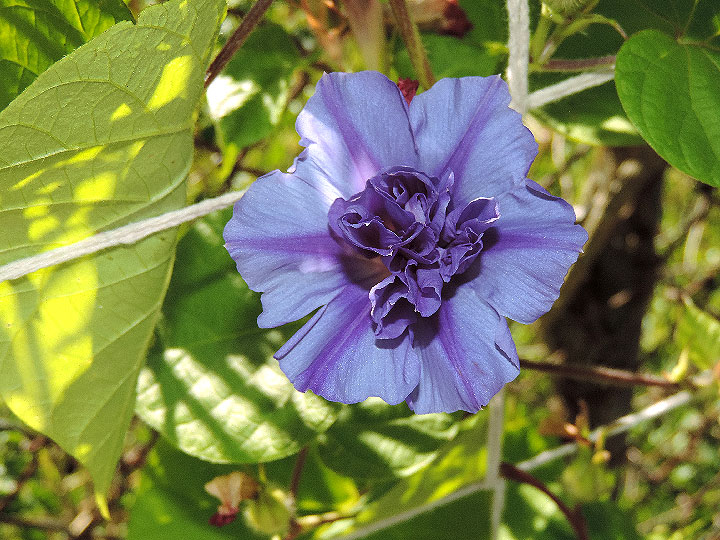 DSCN5712