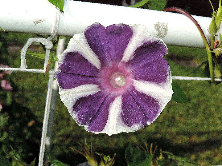 DSCN5815