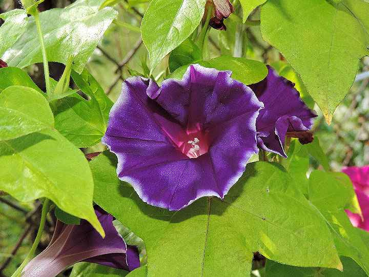 DSCN5839