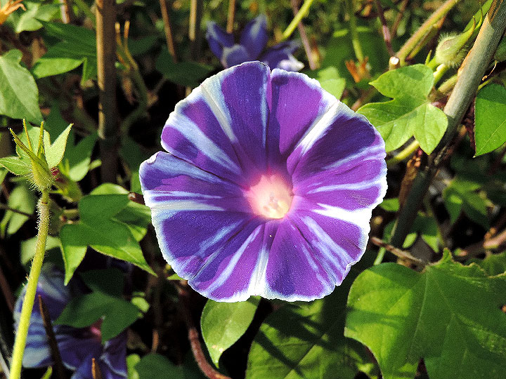 DSCN6222