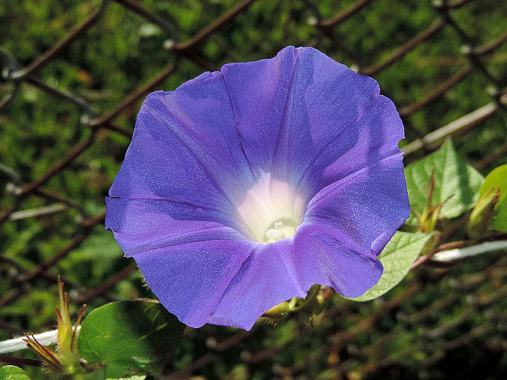 DSCN6632