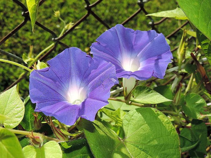 DSCN6751