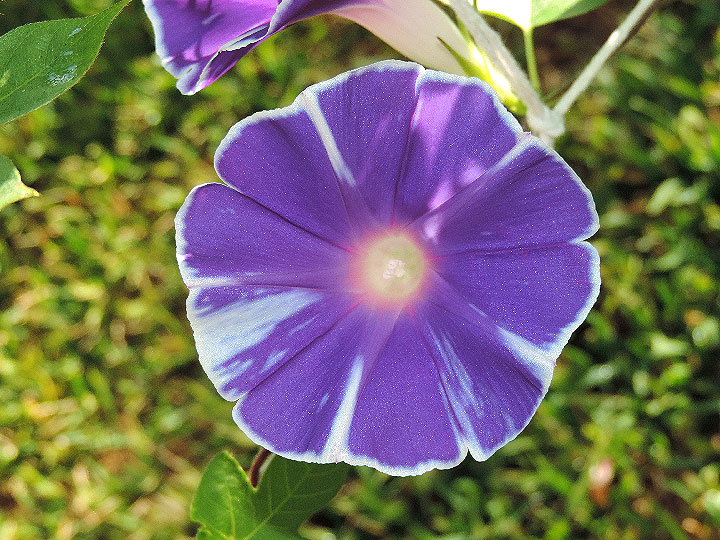 DSCN6890