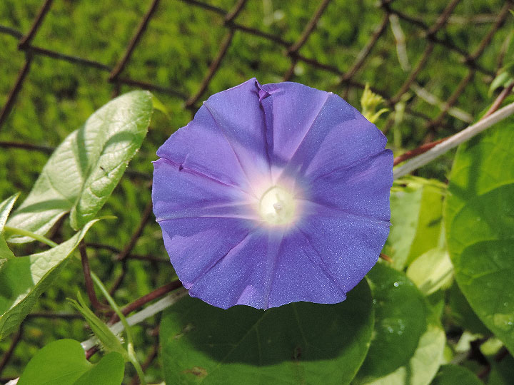 DSCN7446
