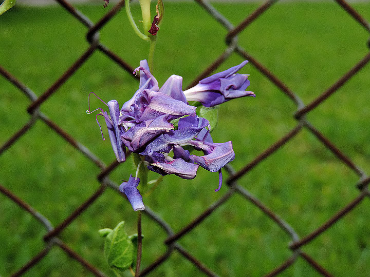 DSCN7625