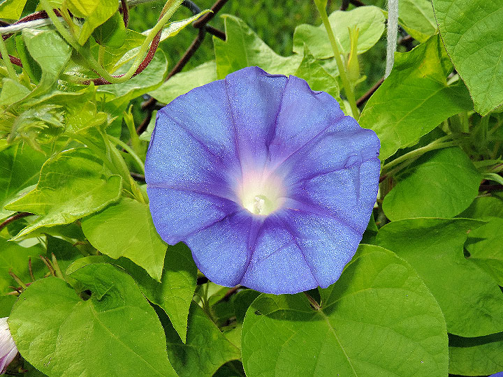 DSCN7737