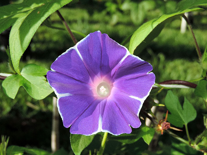 DSCN7861