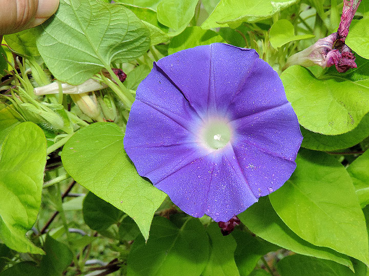 DSCN8072