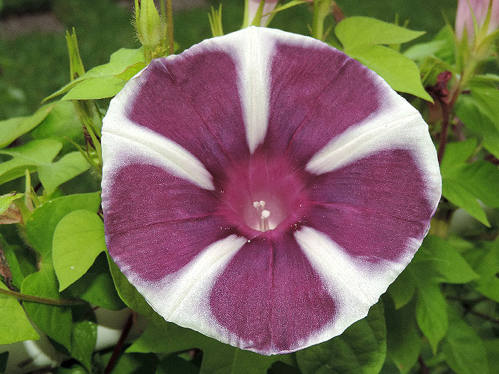 DSCN8158