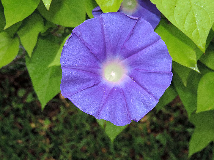 DSCN8173
