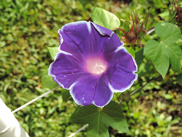 DSCN8255