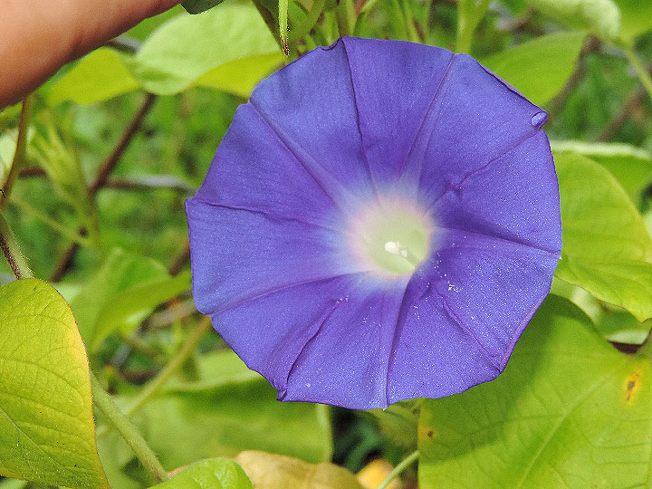DSCN8318