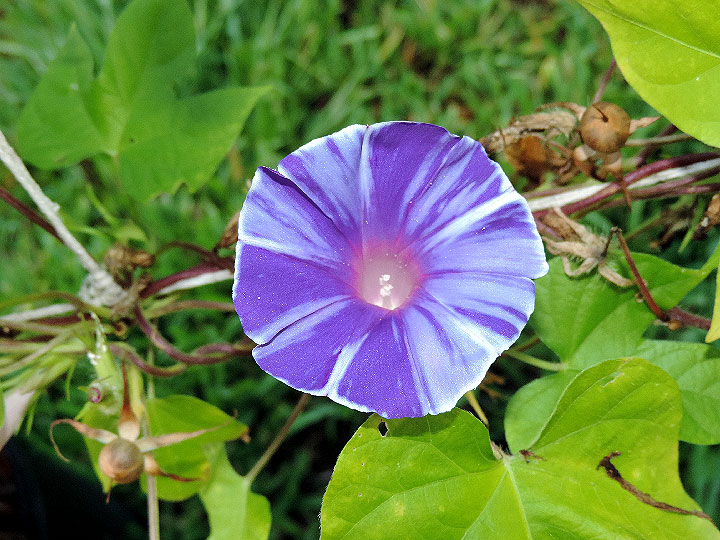 DSCN8461