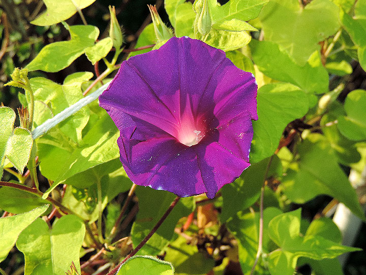 DSCN8793