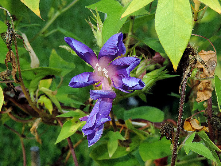 DSCN8936_01
