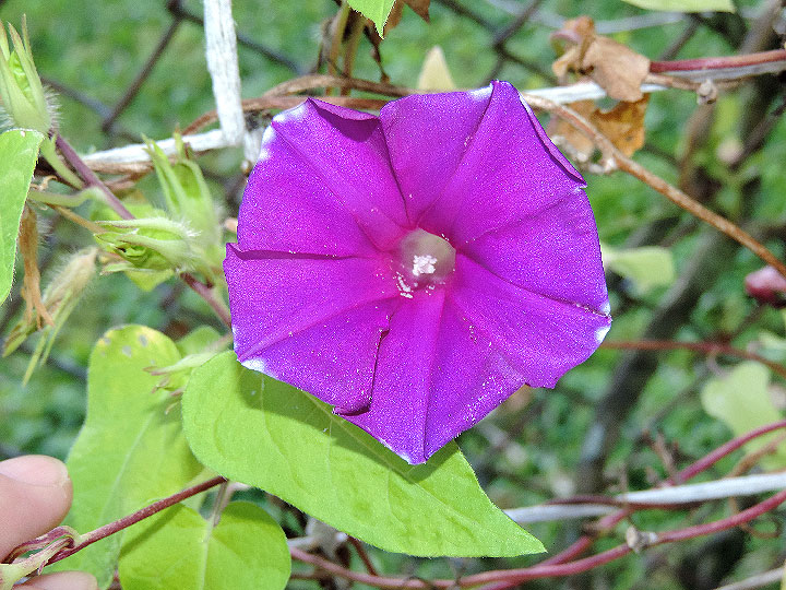 DSCN8954_01