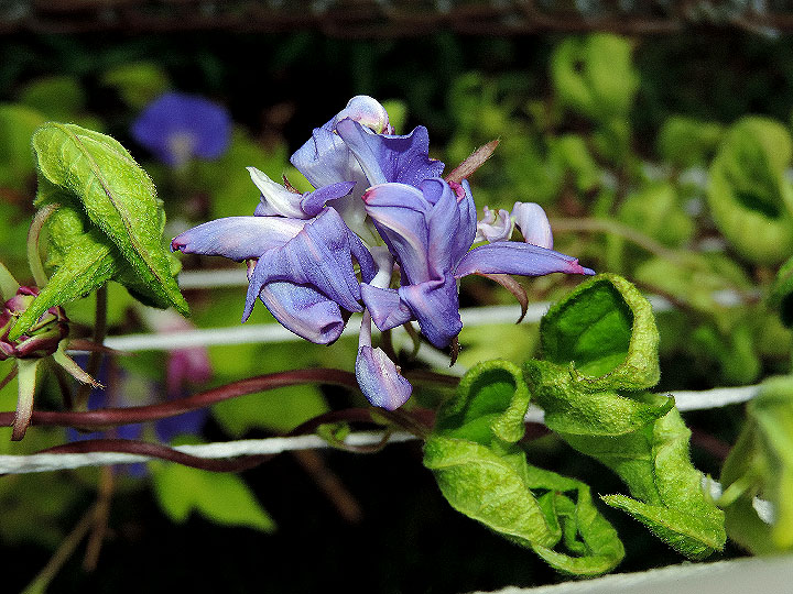DSCN9056