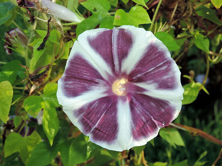 DSCN9233