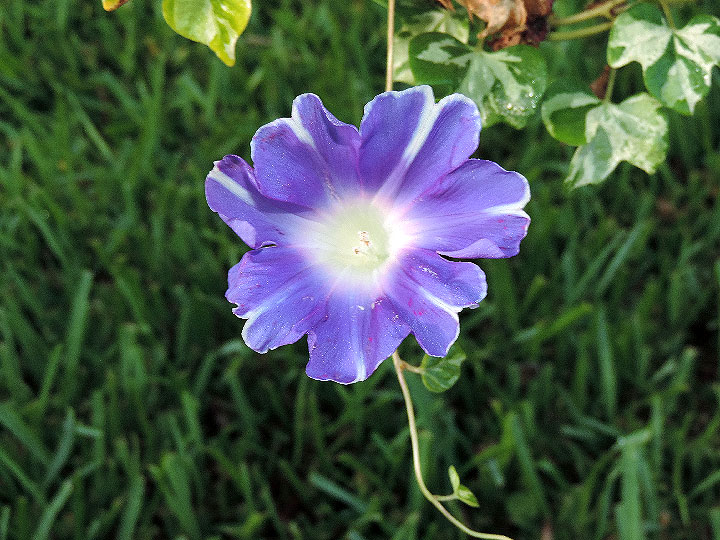 DSCN9234