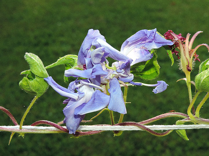 DSCN9248