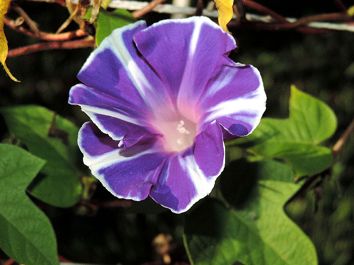 DSCN9578
