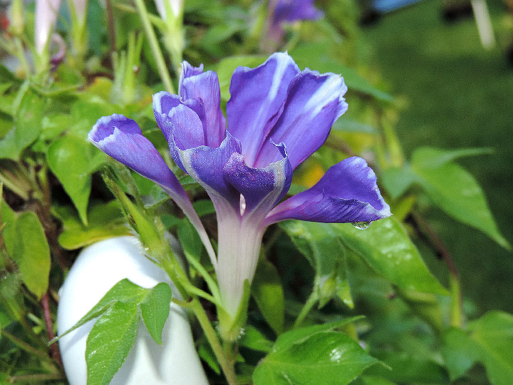DSCN9649