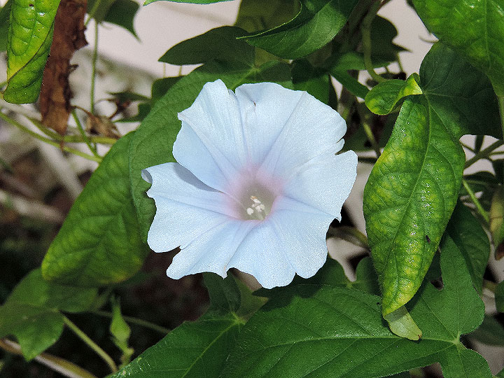 DSCN9659