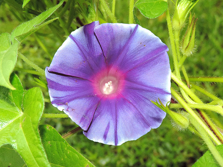 DSCN9763