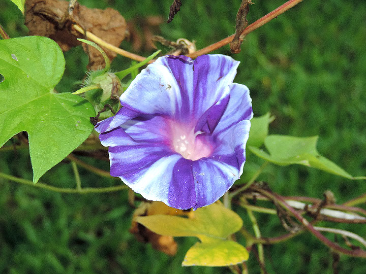 DSCN9872