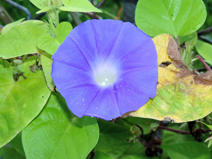 DSCN9981