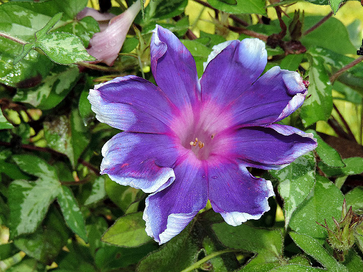DSCN7302