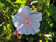 DSCN0970
