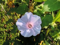 DSCN1187