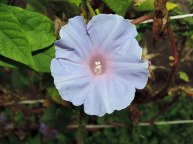 DSCN1558