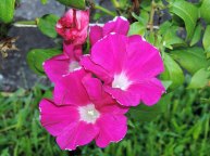 2DSCN0033